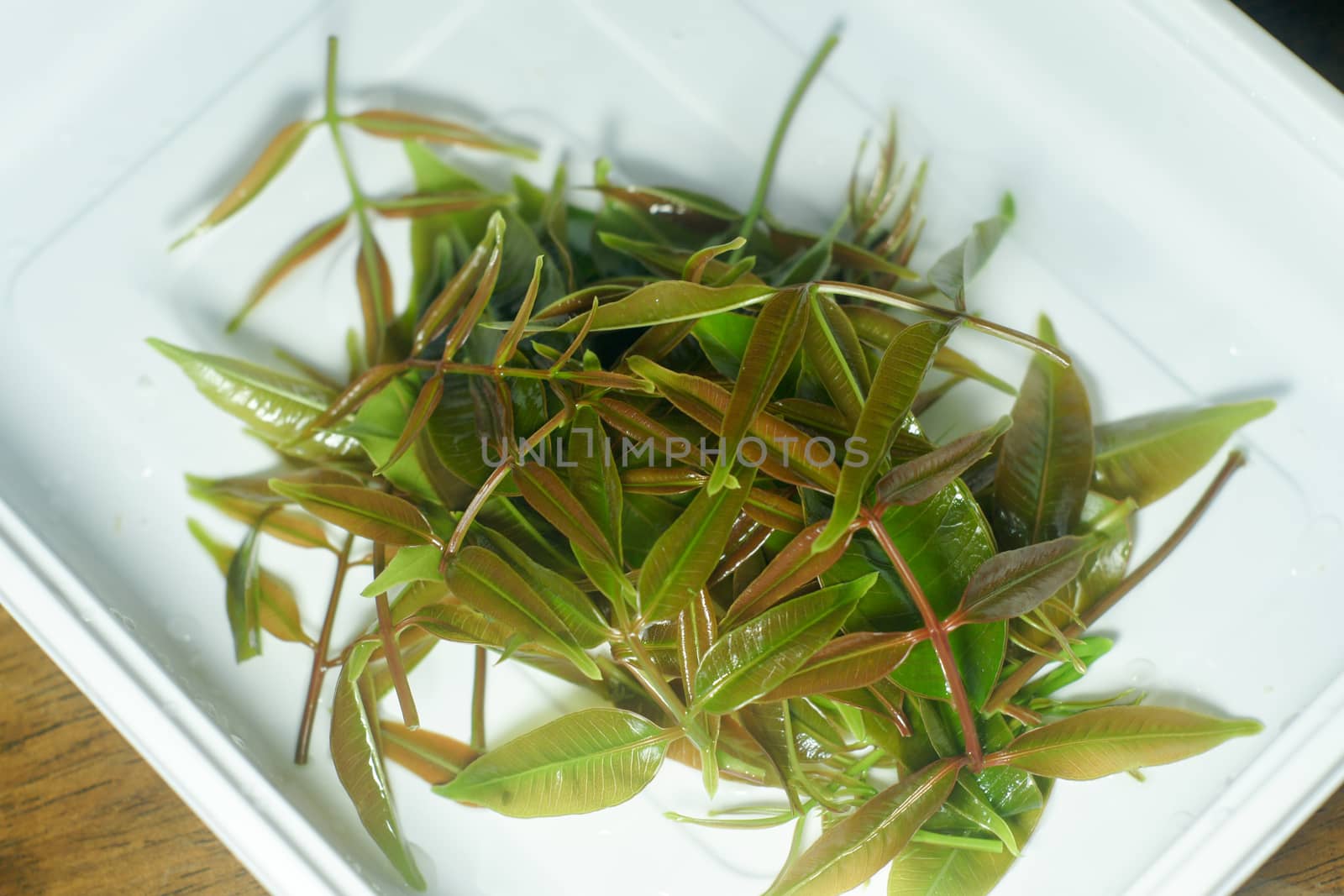 Fresh green olive leaves and lettuce leaves on white plate for food or cooking concept (selective focus)