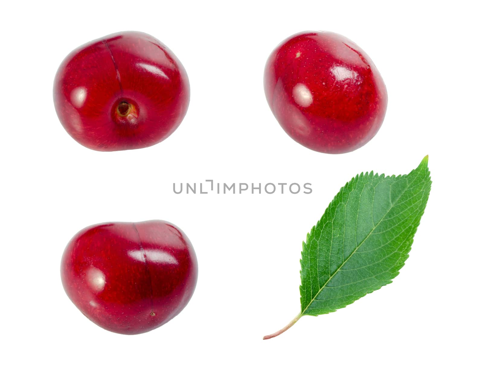A cherry shot from three different angles and a leaf.