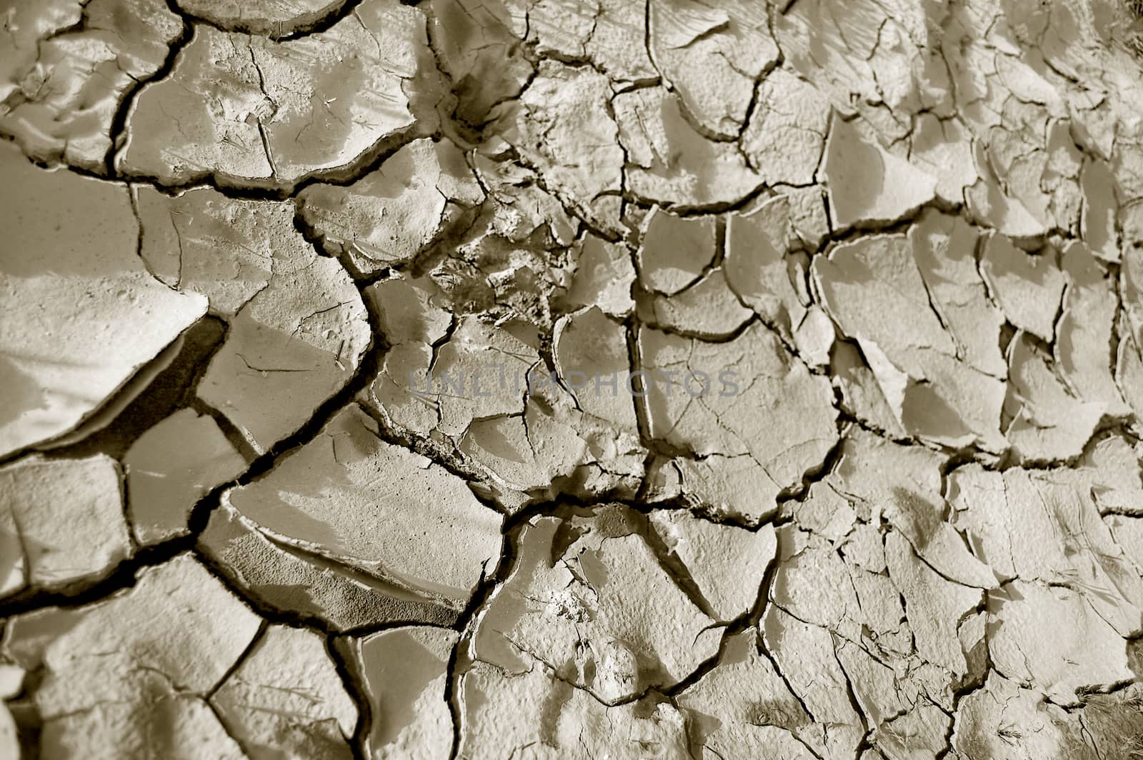 Desert conceptual image. Close up of dry land.