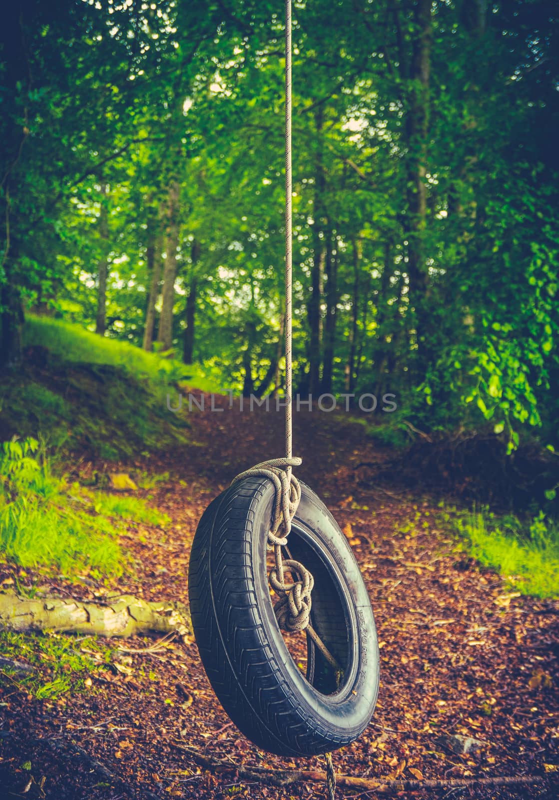 Retro Forest Tyre Swing by mrdoomits