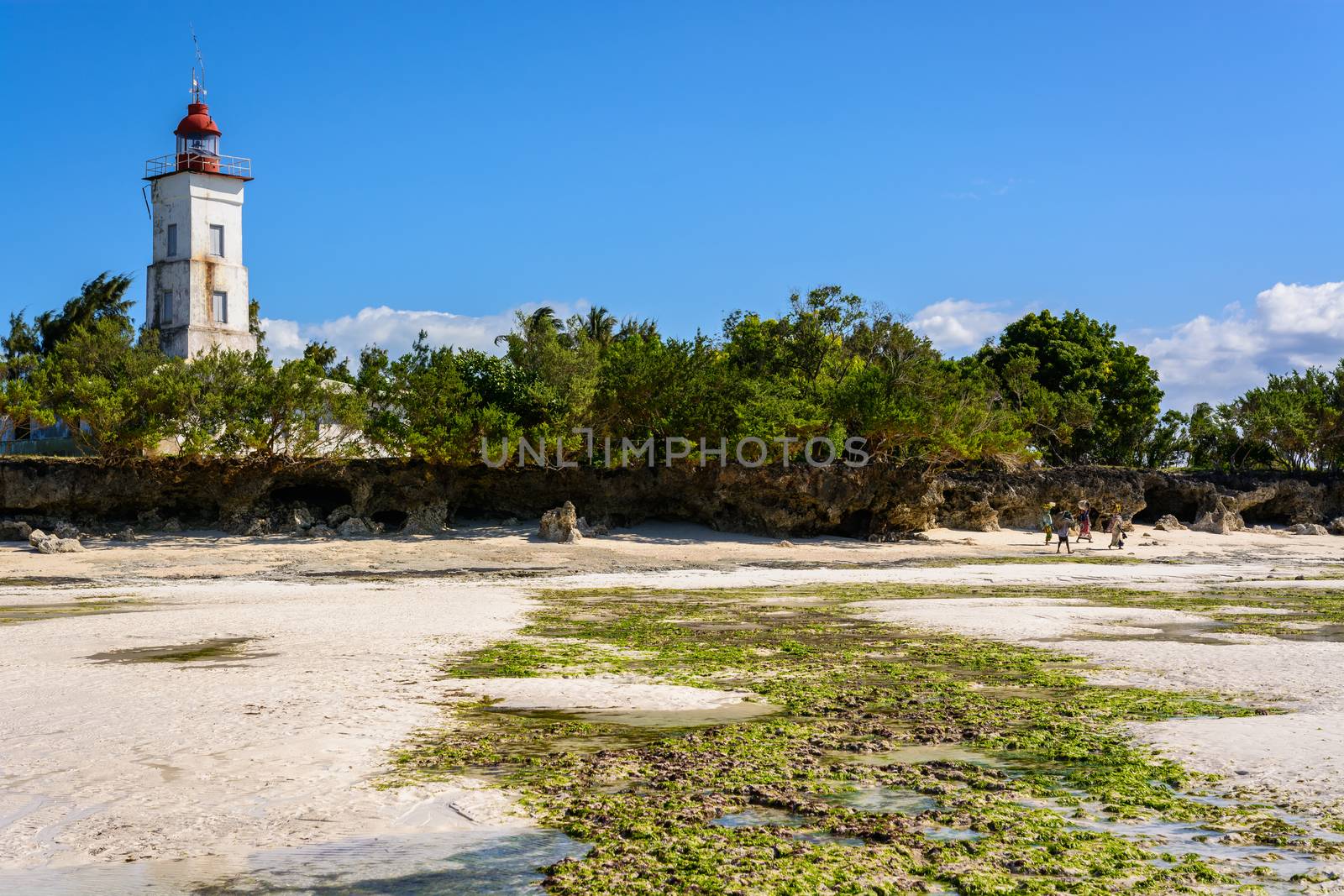 a nice view of Zanzibar beach,Tanzania.