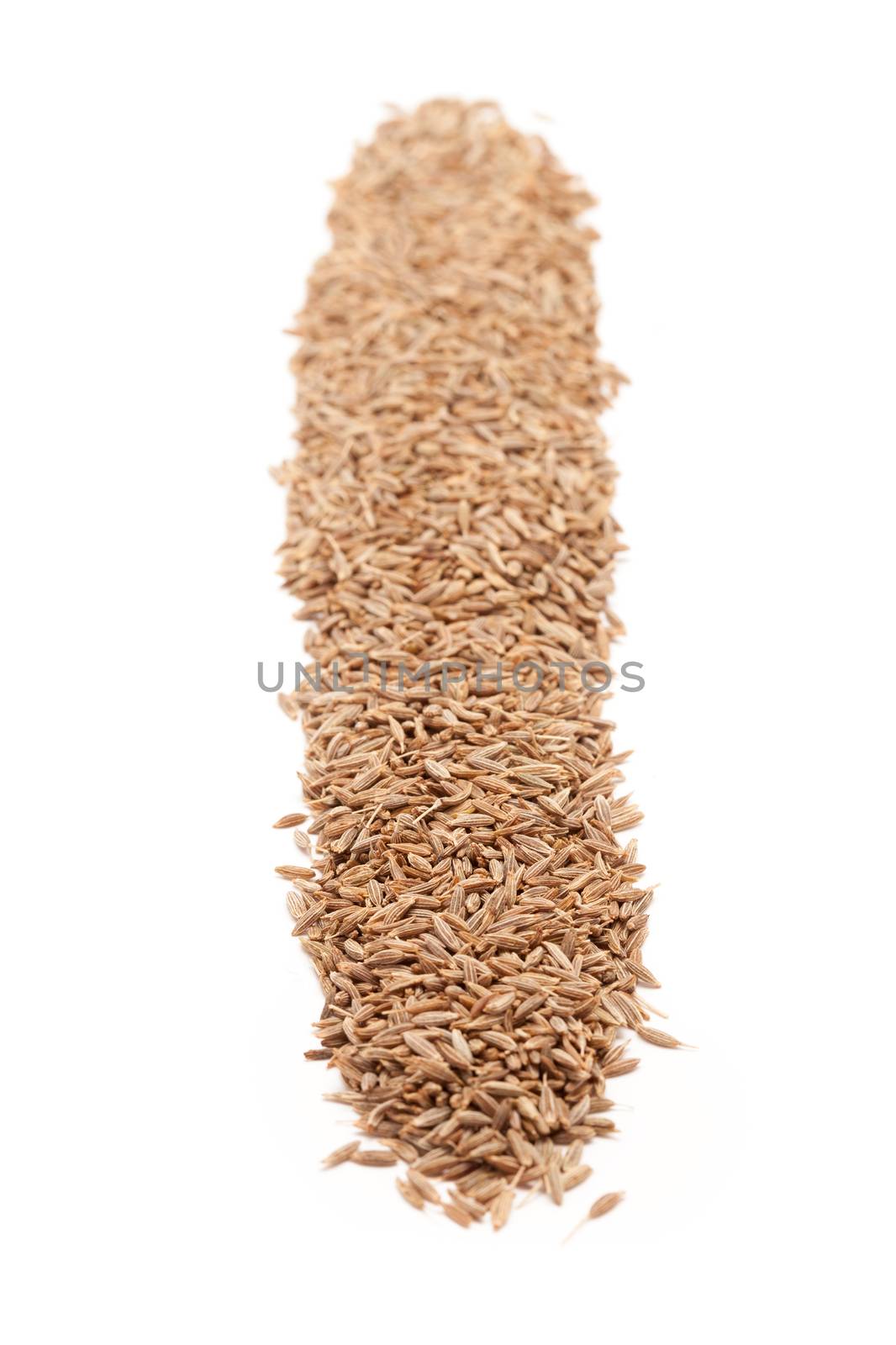 Row of Organic Cumin seed (Cuminum cyminum) isolated on white background.