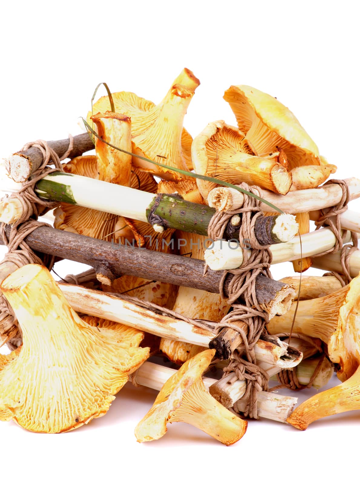 Arrangement of Raw Chanterelles with Grass in Tree Branch Box isolated on White background