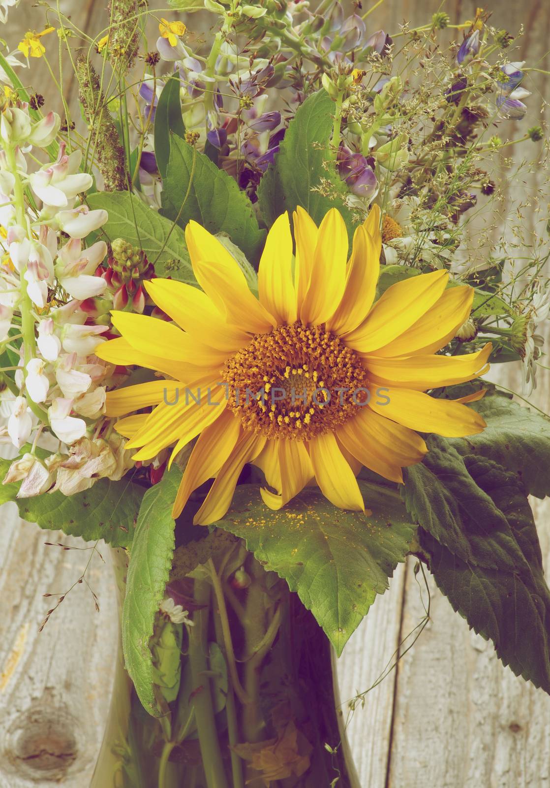 Bouquet of Wildflowers and Various Grasses with Big Sunflower and Pink Lupines closeup on Rustic Wooden background. Retro Styled