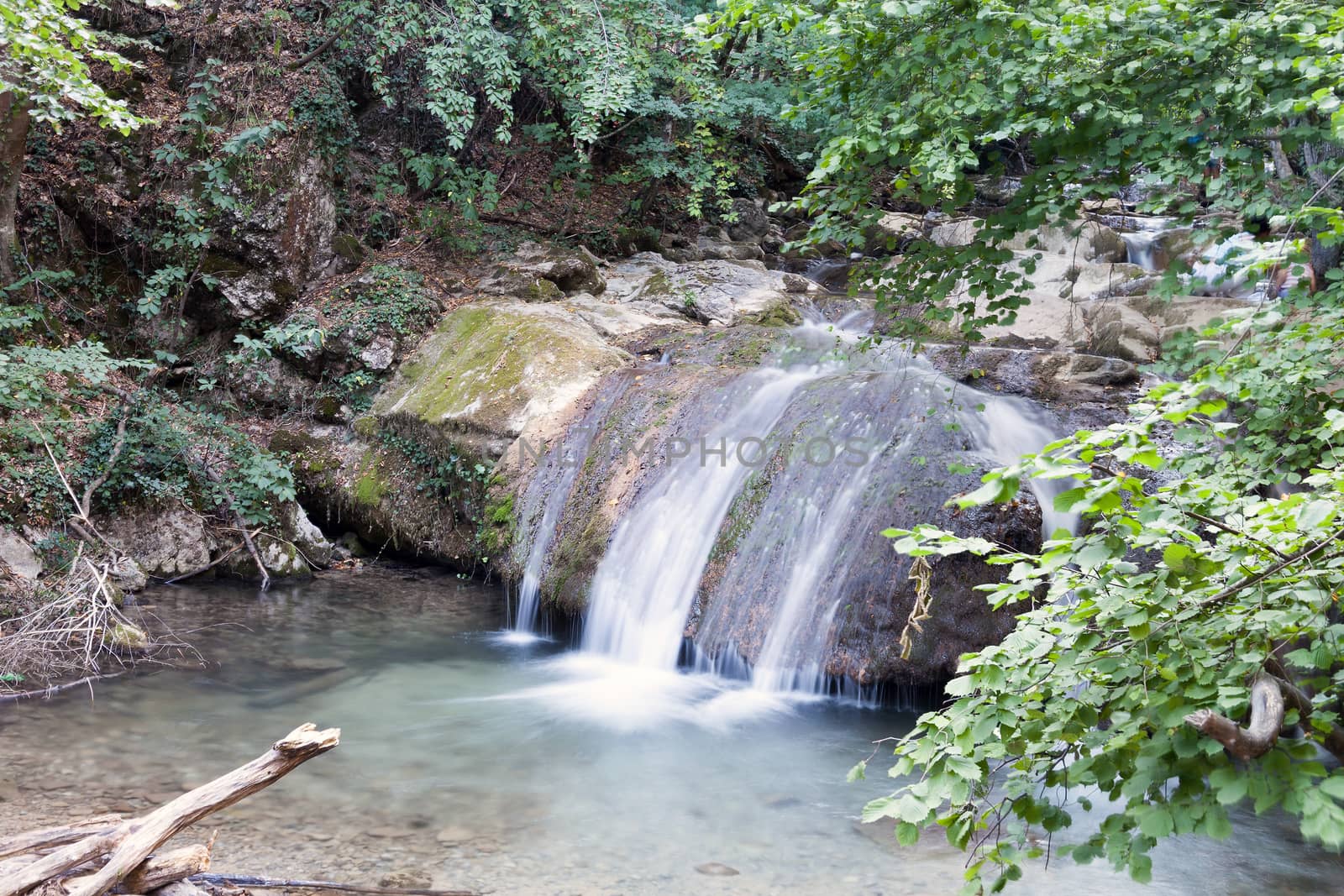 beautiful forest falls in mountains in the summer afternoon, the Crimea, Russia