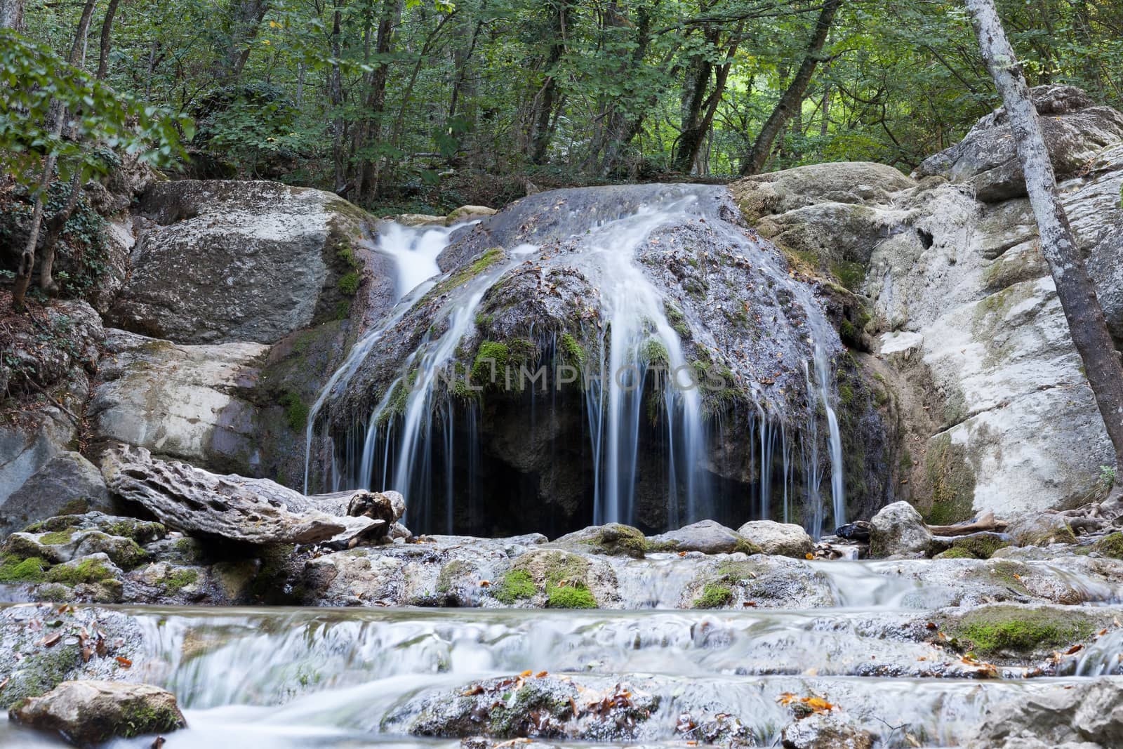 beautiful forest falls in mountains in the summer afternoon, the Crimea, Russia
