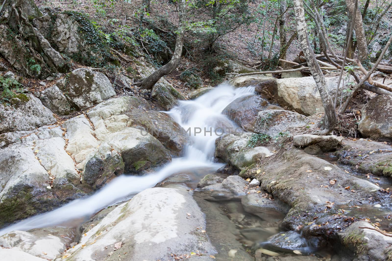 beautiful forest falls in mountains in the summer afternoon, the Crimea, Russia