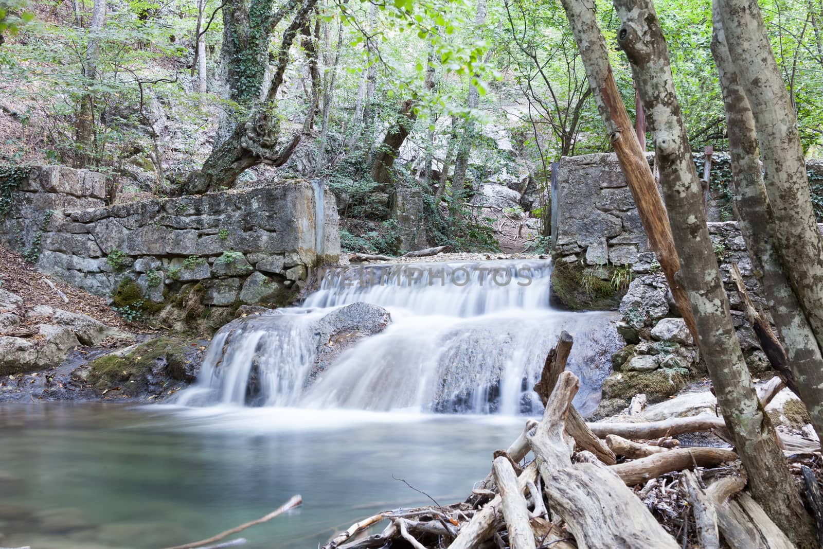 beautiful forest falls in mountains in the summer afternoon, the Crimea, Russia