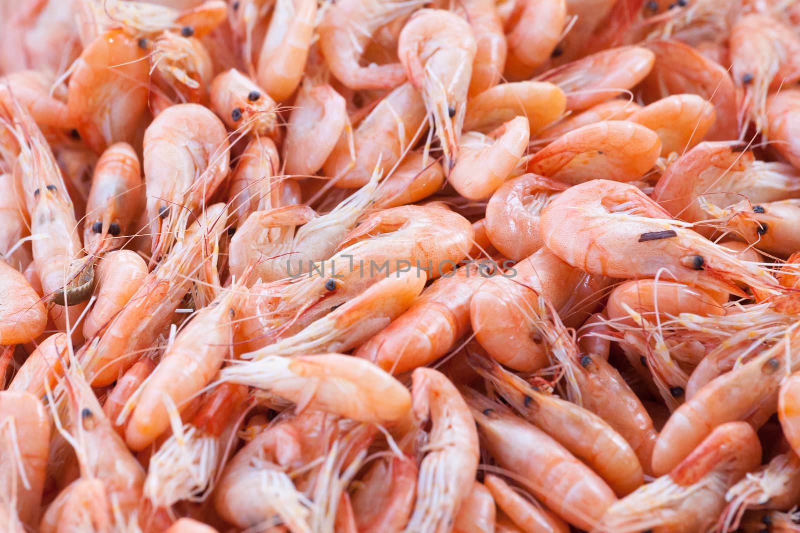 handful beautiful boiled  of sea shrimps on a table