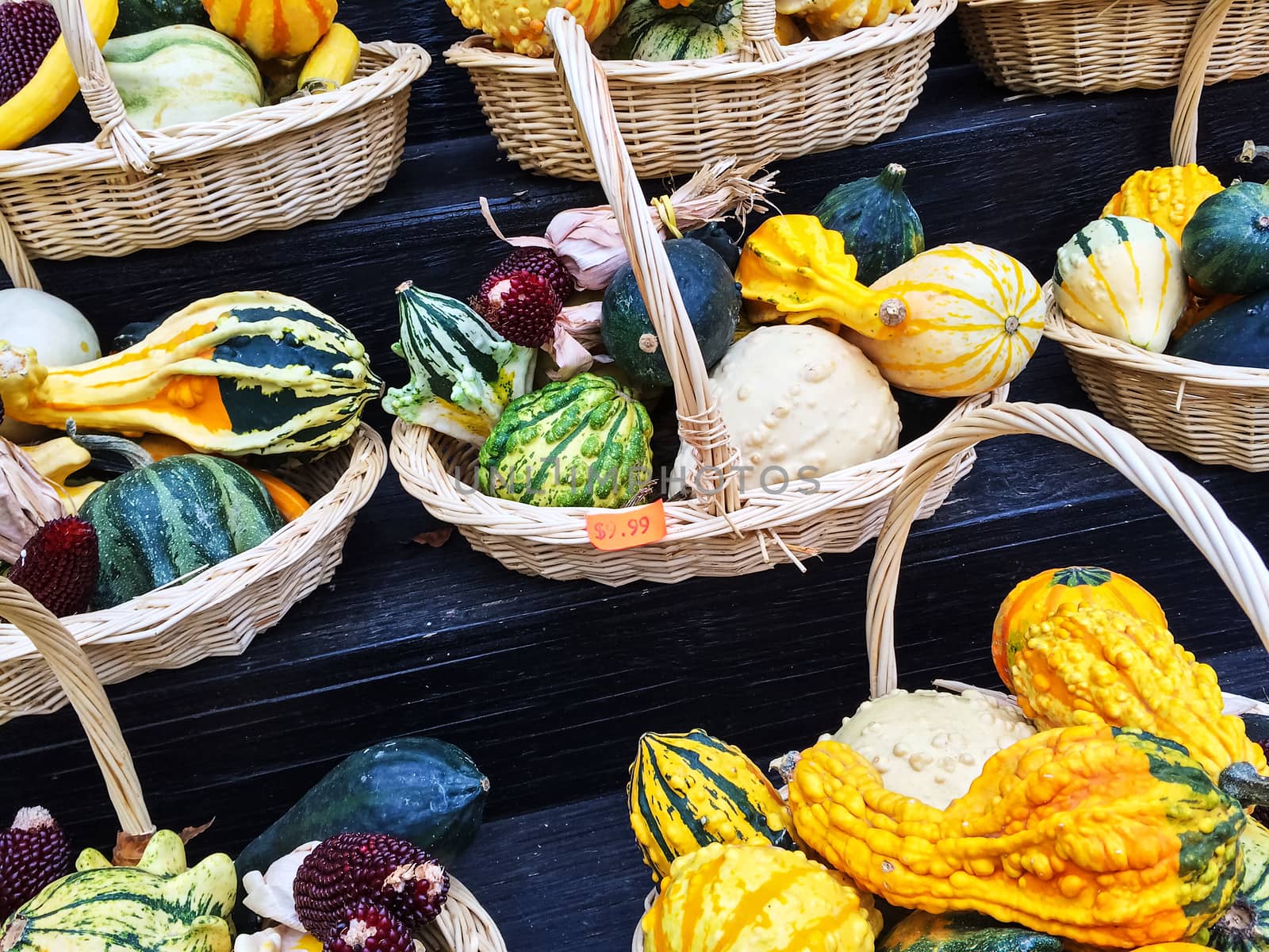 Baskets with colorful gourds by anikasalsera