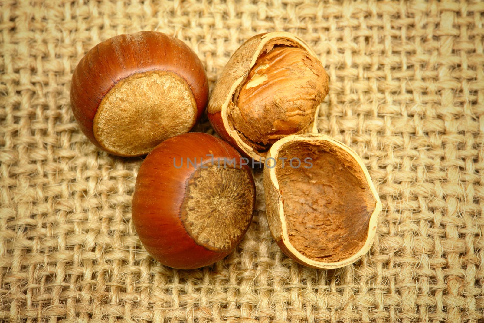 Hazelnuts Closeup by selensergen