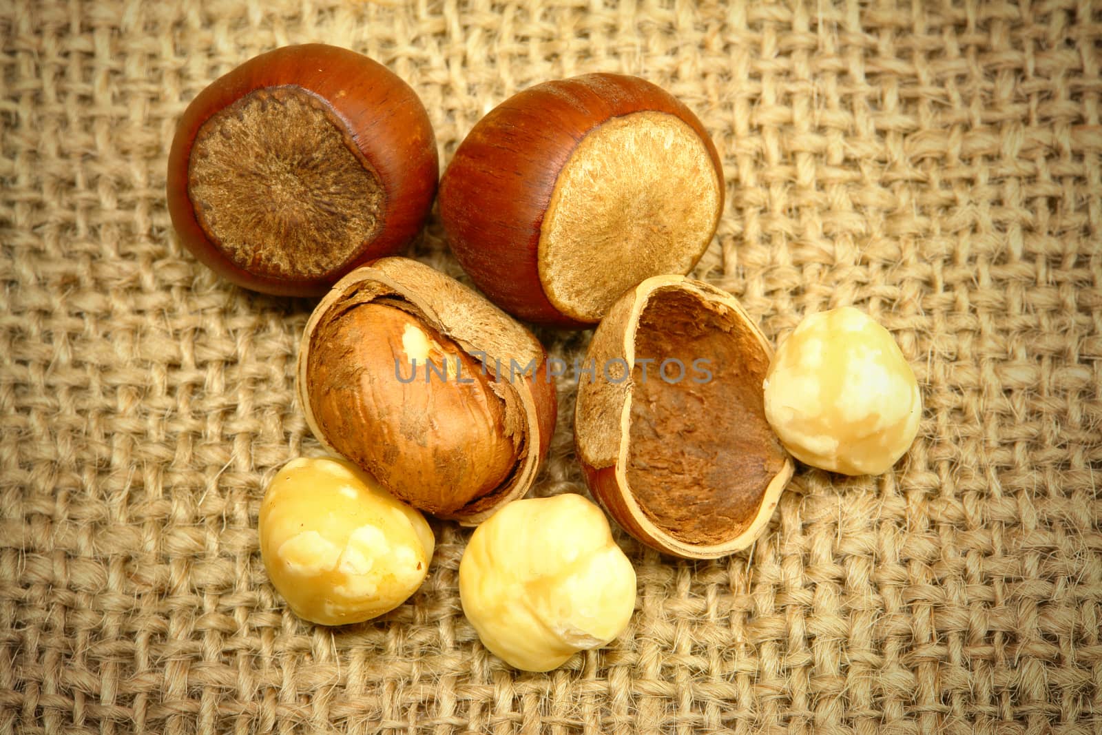 Hazelnuts Closeup