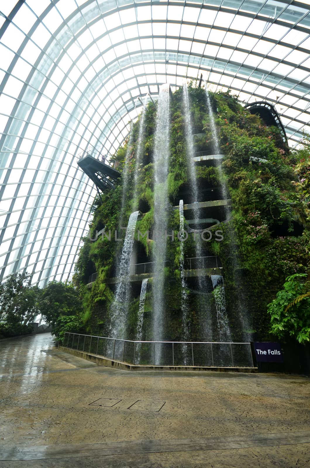 Cloud Forest at Gardens by the Bay in Singapore by tang90246
