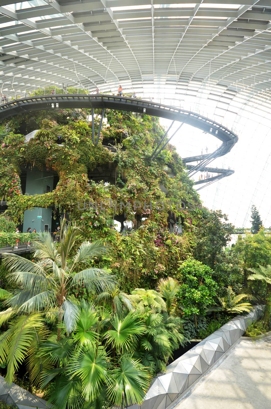 SINGAPORE- SEP 5: View of Cloud Forest at Gardens by the Bay on September 5, 2015. in Singapore. Gardens by the Bay is a park spanning 101 hectares of reclaimed land.
