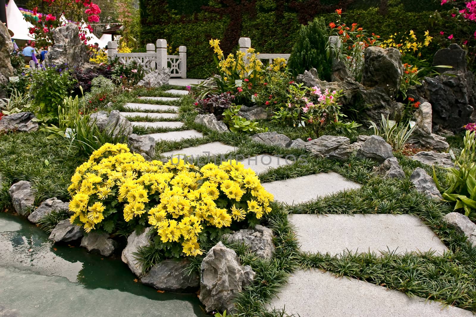 Path in garden with rocks, flowers and plants