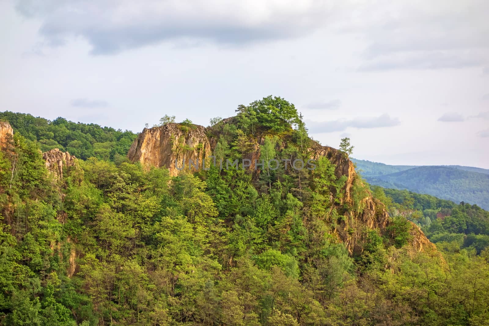 Impressive rocks with trees in the forest