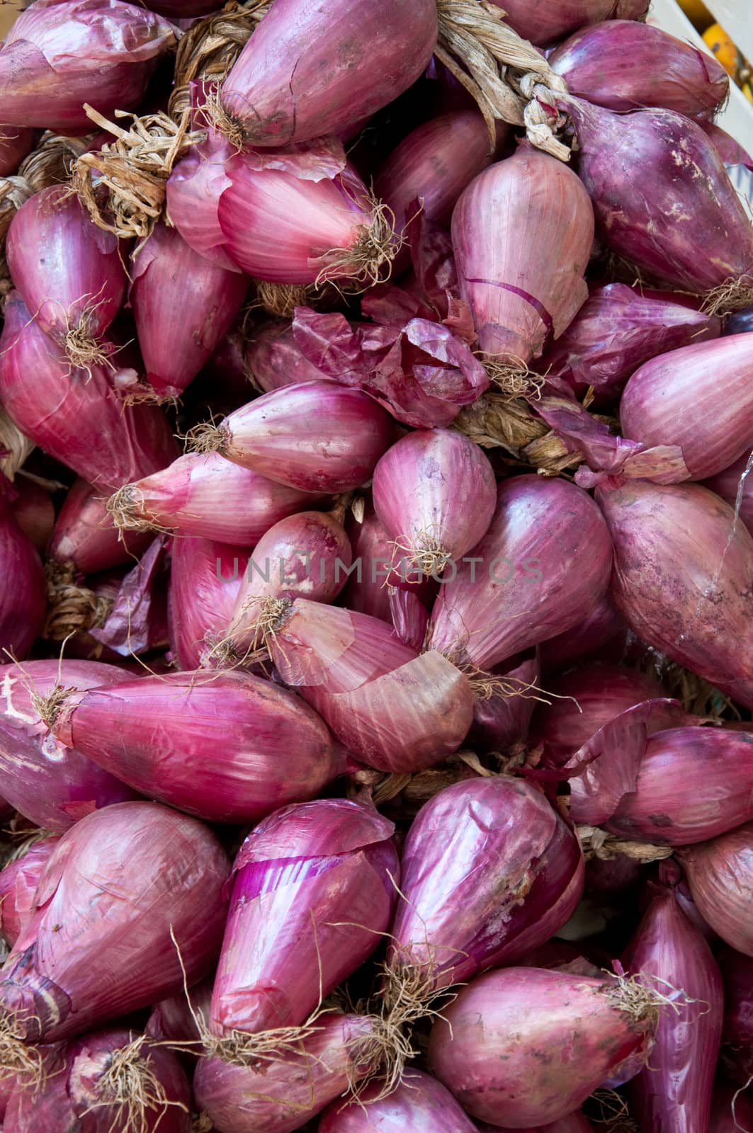 Group of good red onions of Tropea and chilli