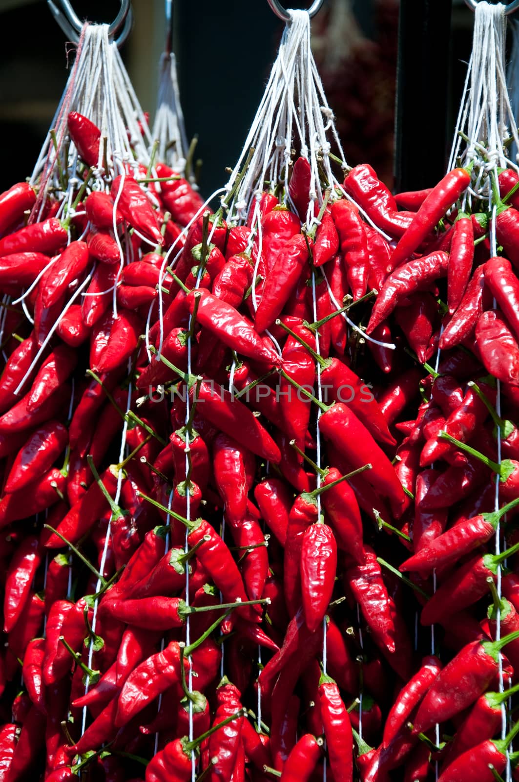 Rows of red hot pepper ready for sale