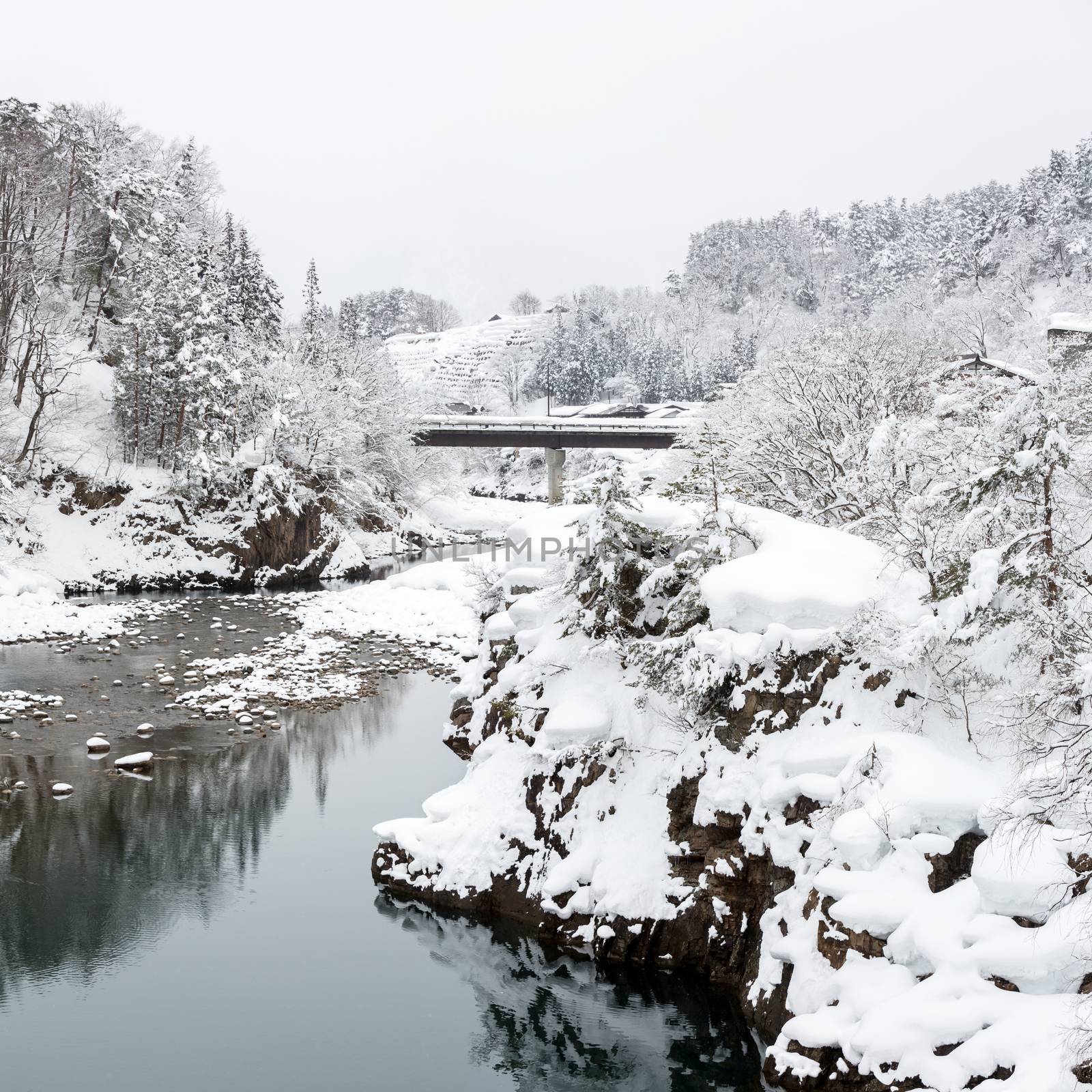 Shirakawago Japan Winter by vichie81