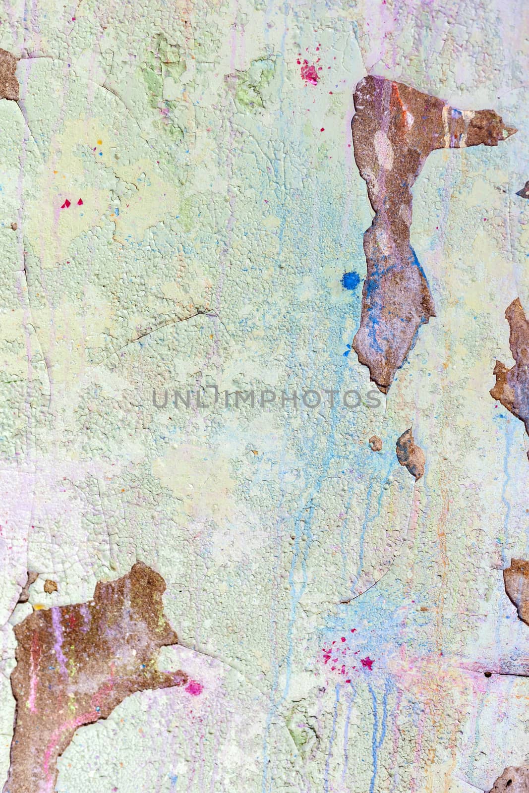 Grungy white background cement old texture wall