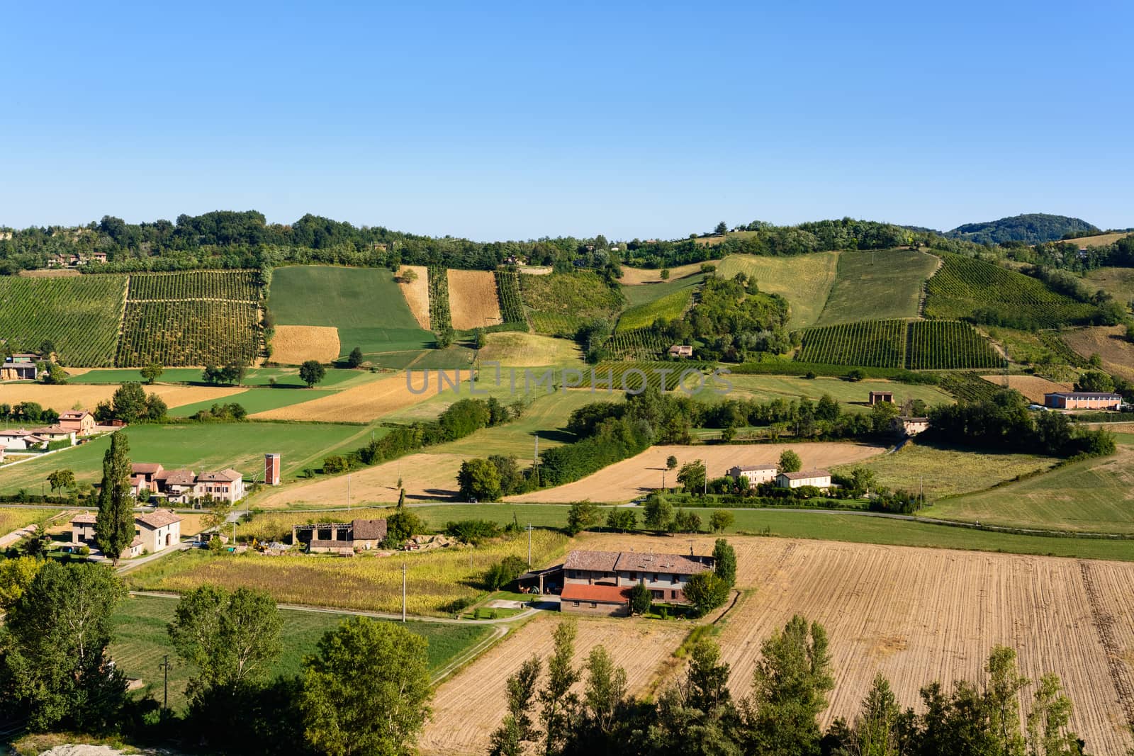 In the picture a beautiful view of the hills of Piacenza (Castell'Arquato) and its vineyards.