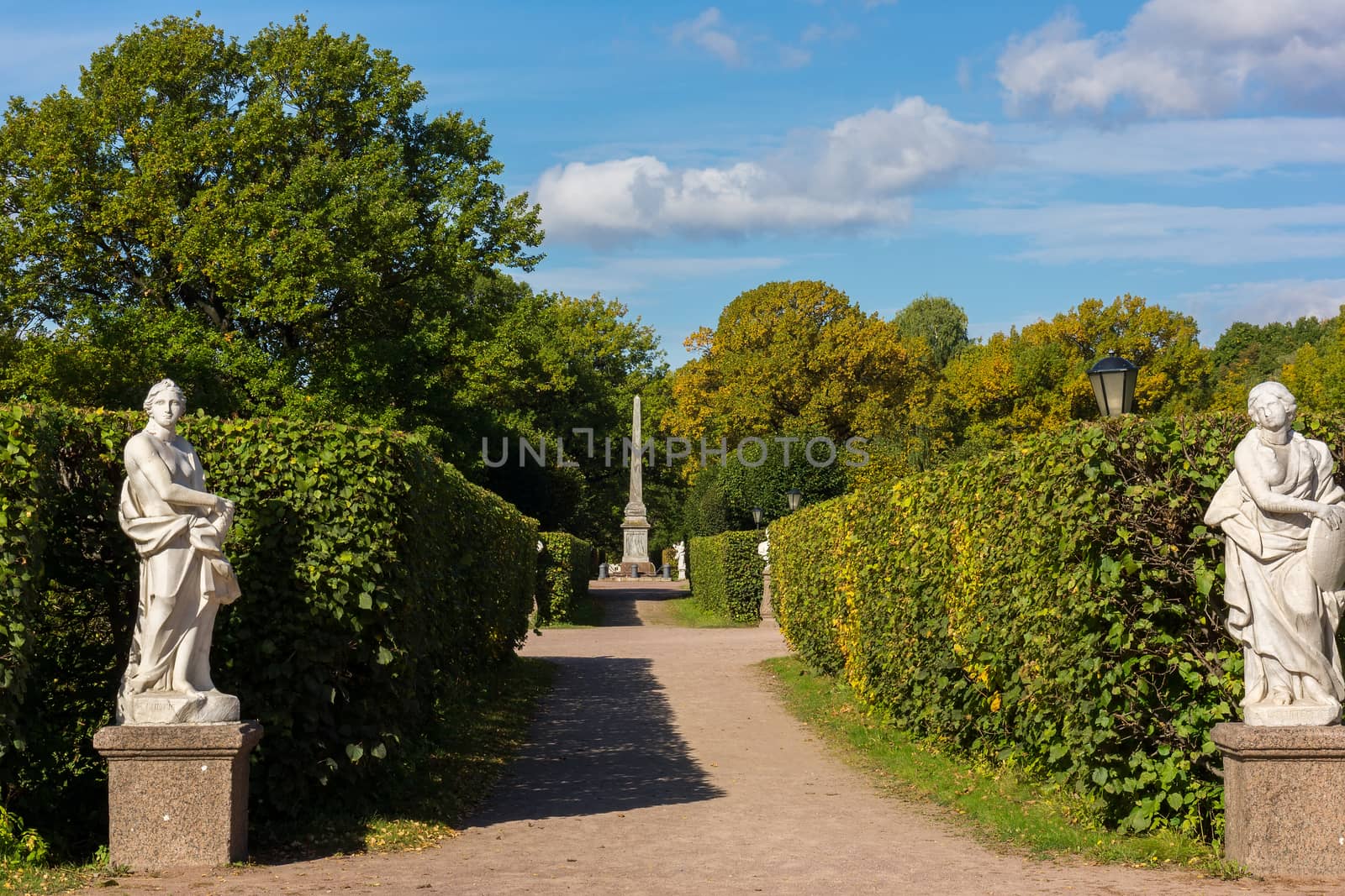 The photo shows autumn landscape.