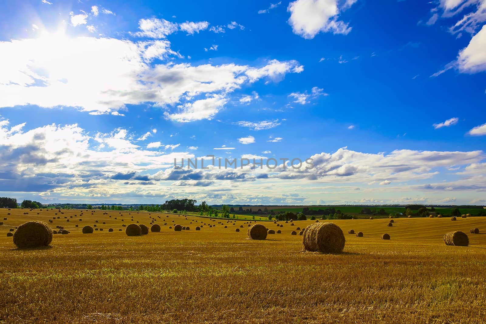 Yellow Straw Bales in a Stubble Field at end of Summer at Day with Clouds, Blue Sky after Harvest