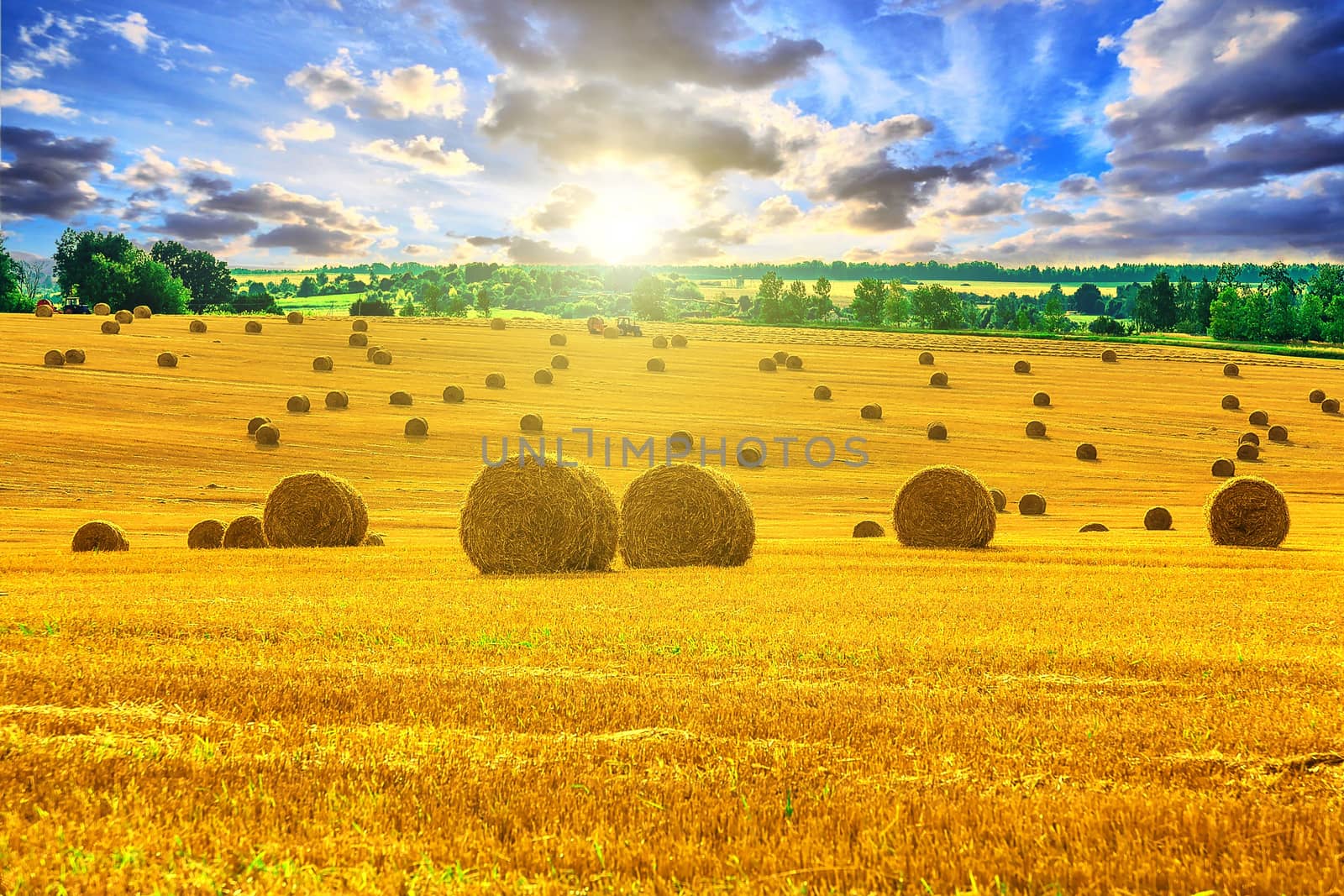 Yellow and Round Straw Bales in a  Field at end of Summer at Sunrise or sunset with Clouds after Harvest