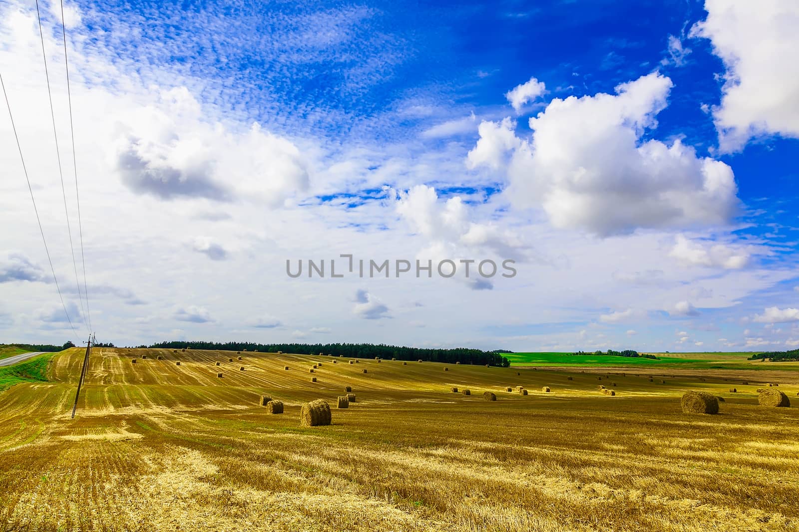 Round Straw Bales in a  Field at end of Summer at Day with Clouds, Blue Sky after Harvest