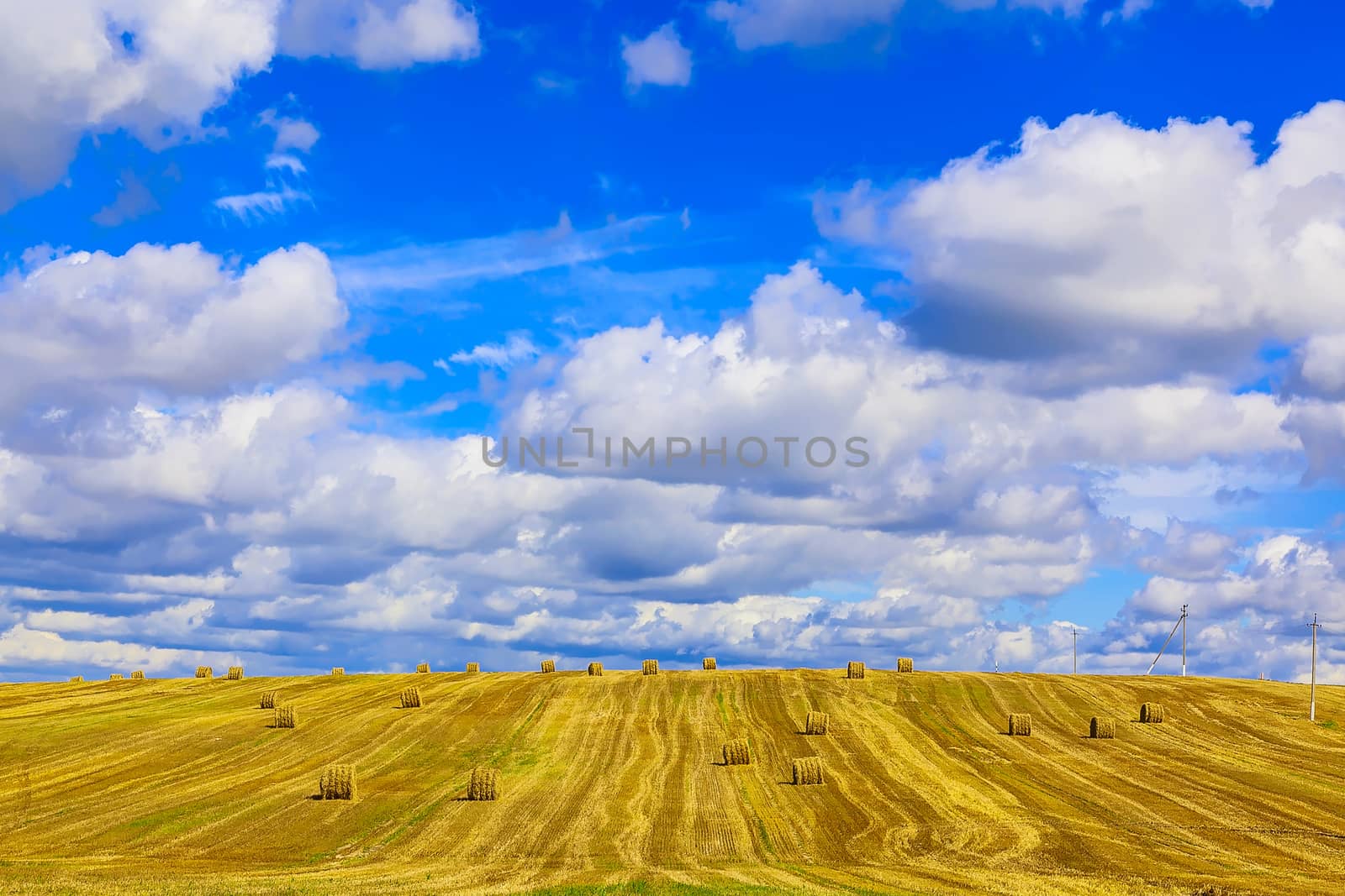 Yellow, Round Straw Bales in a Stubble Field at end of Summer at Day with Clouds, Blue Sky after Harvest