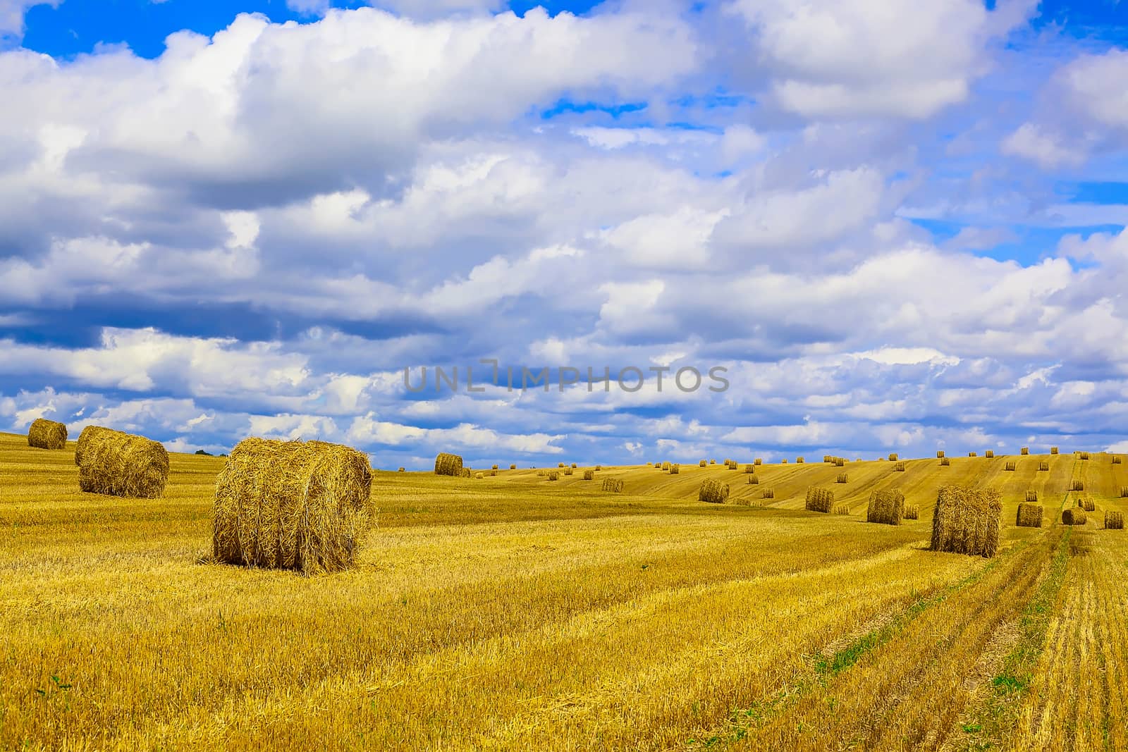 Yellow, Round Straw Bales in a  Field at end of Summer at Day with Blue Sky and Clouds after Harvest