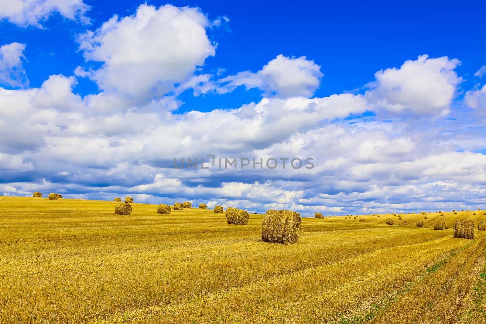 Yellow and Round Straw Bales in a Stubble Field at end of Summer at Day with Clouds after Harvest