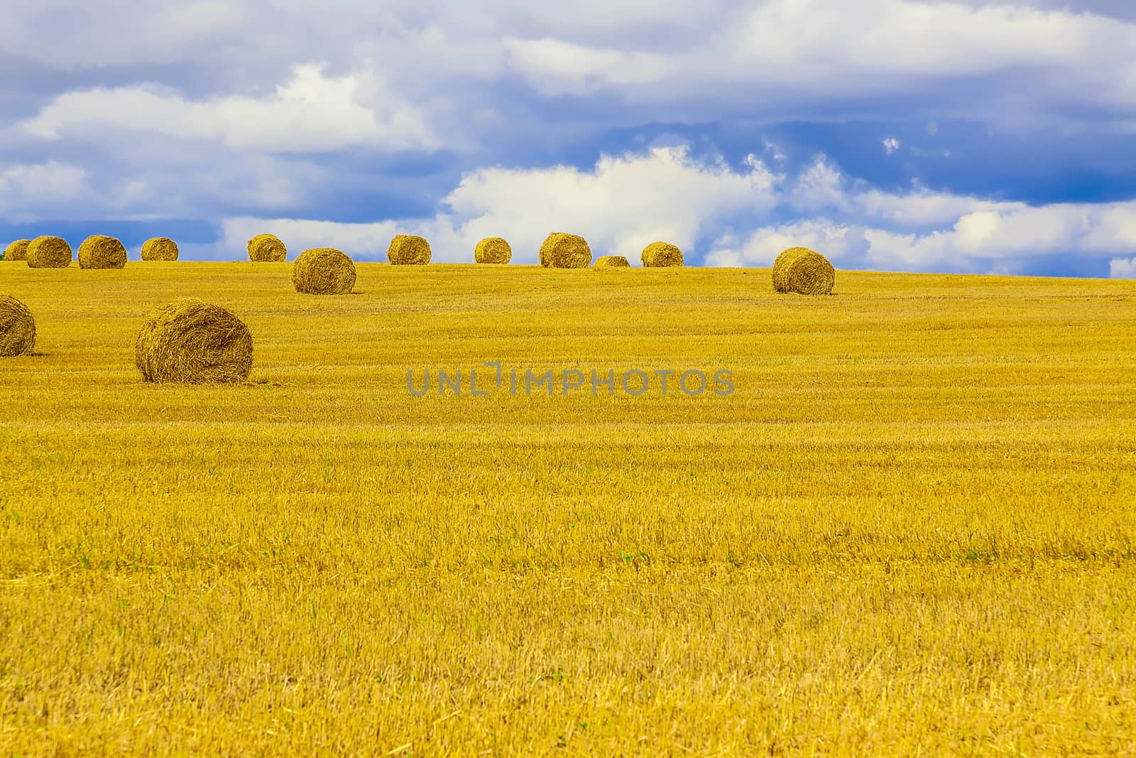 Yellow and Round Straw Bales in a Stubble Field at end of Summer at Day with Blue Sky and Clouds after Harvest