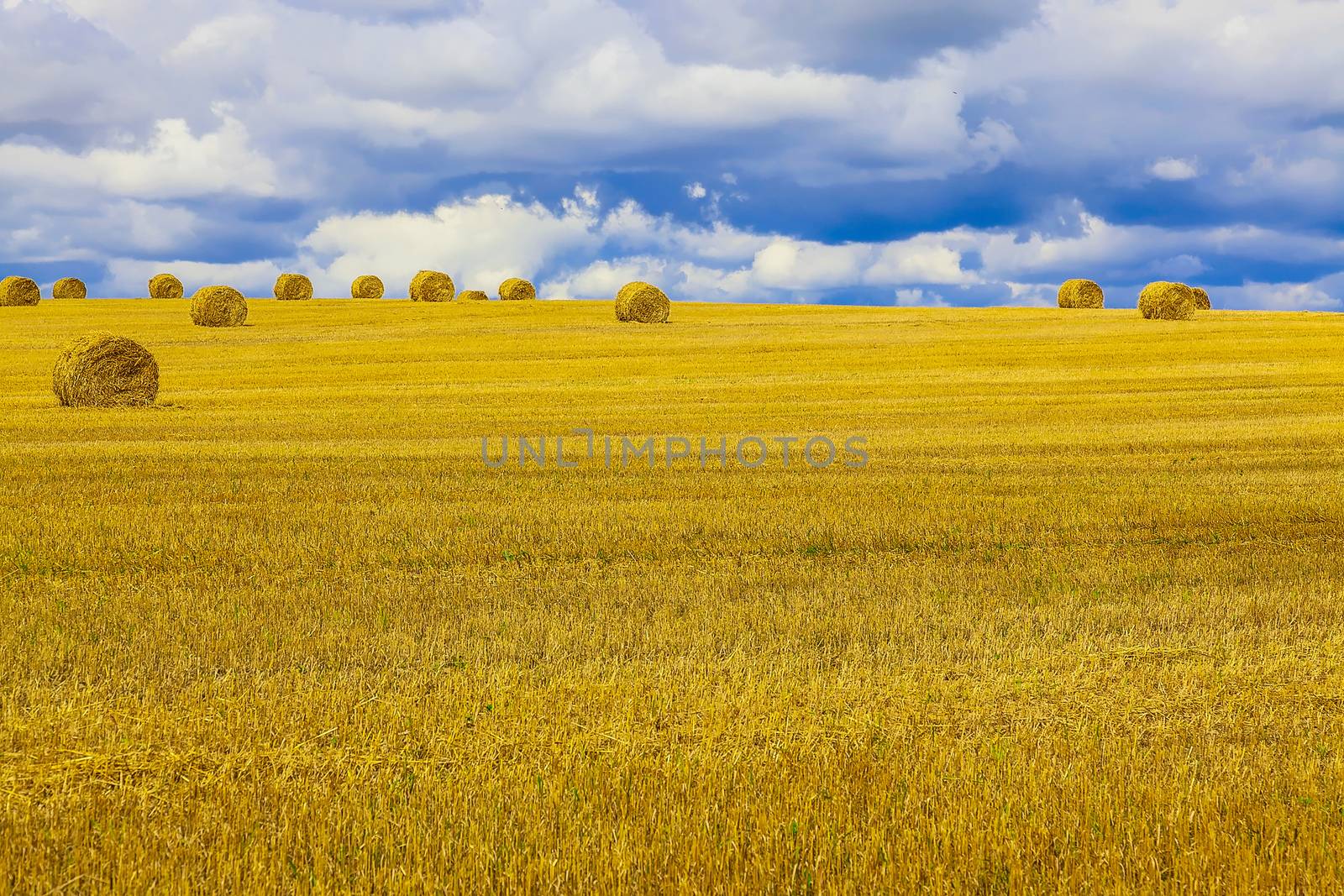 Yellow and Round Straw Bales in a Stubble Field at end of Summer at Day with Clouds and Blue Sky after Harvest