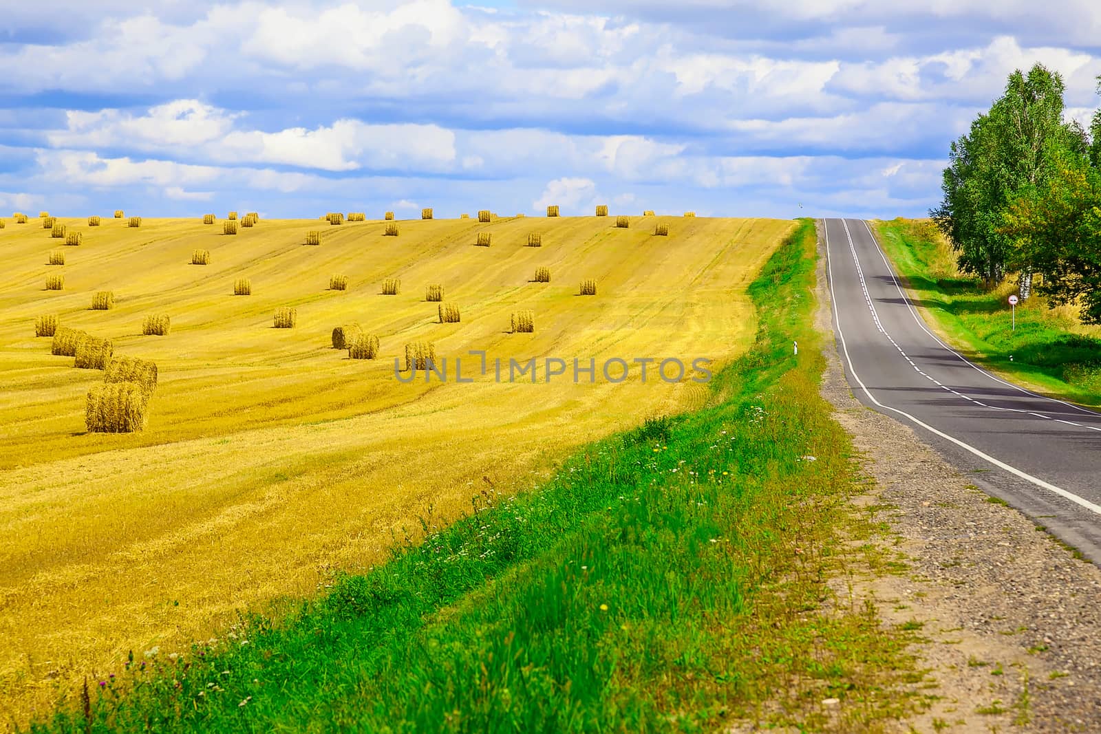 Round, Yellow Straw Bales in a  Field at end of Summer at Day with Blue Sky, Clouds after Harvest near Road