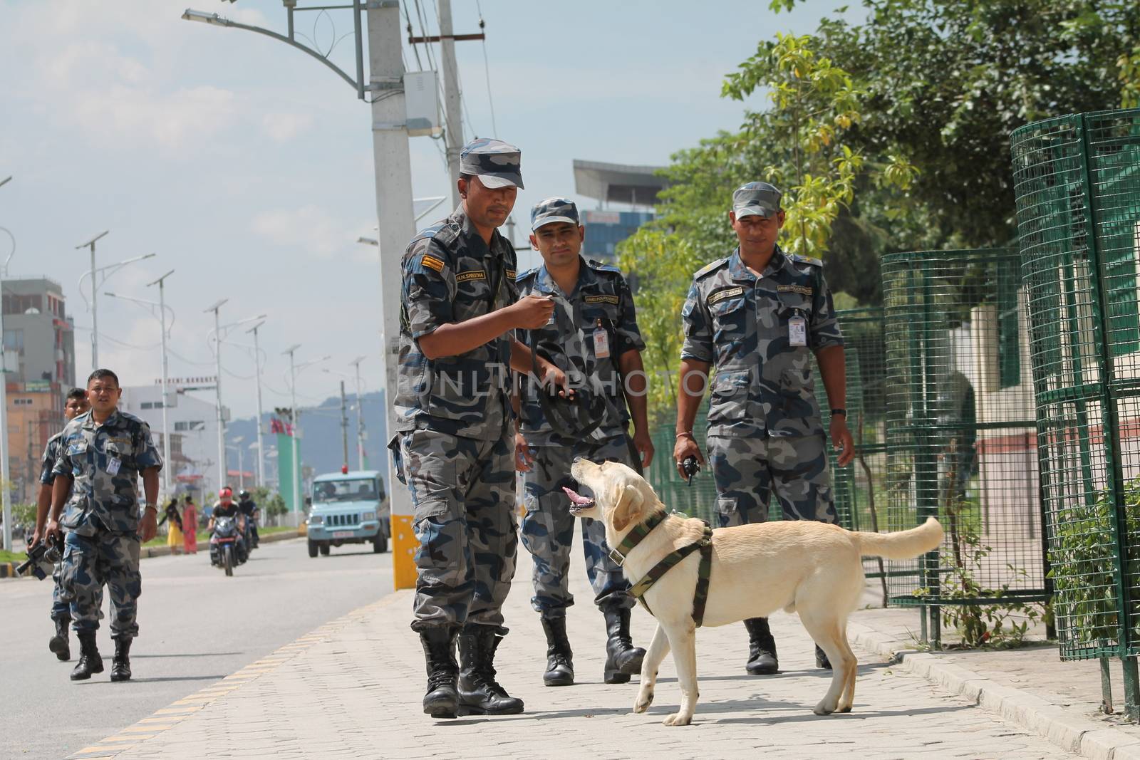 s a dog as Nepal celebrates a new constitution embracing the principles of republicanism, federalism, secularism, and inclusiveness, in Kathmandu on September 20, 2015. Out of the 598 members of the Constituent Assembly, 507 voted for the new constitution, 25 voted against, and 66 abstained in a vote on September 16, 2015. The event was marked with protests organized by parties of the Tharu and Madhesi ethnic communities, which according to Newzulu contributor Anish Gujarel led to violence in Southern Nepal.