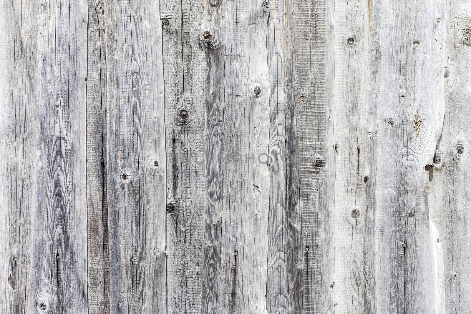 the vintage high resolution white wood backgrounds