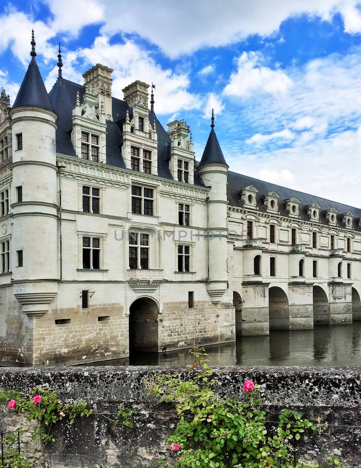 Chateau de Chenonceau, a majestic castle in the Loire Valley, France.