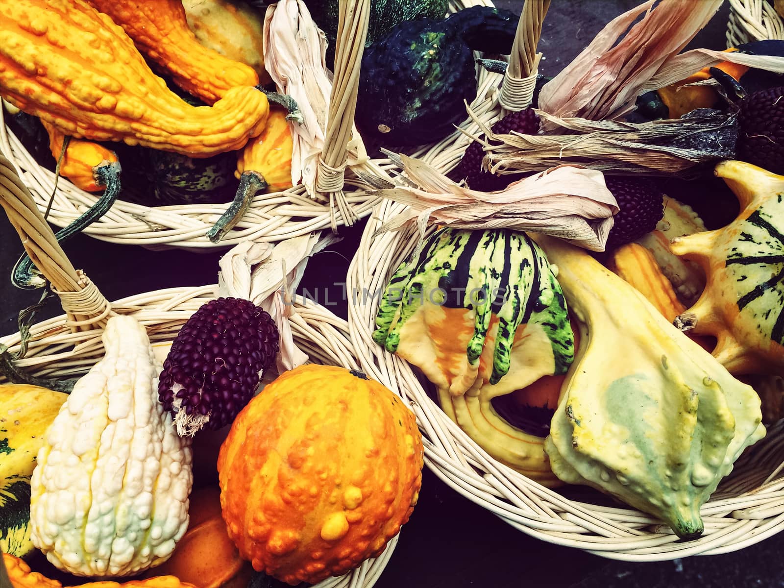 Baskets with colorful autumn vegetables by anikasalsera