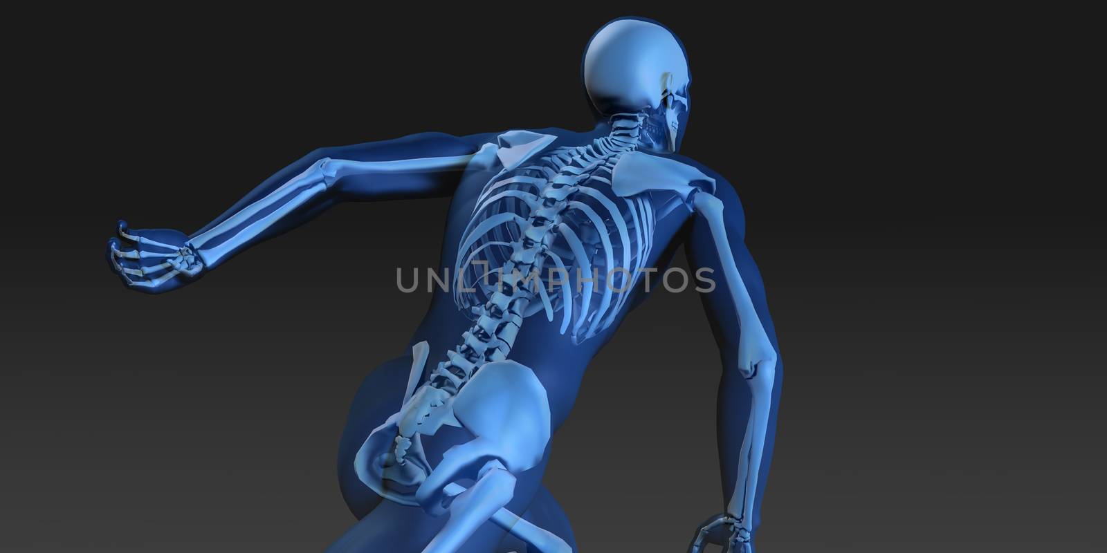 Human Body and Skeleton Anatomy by kentoh