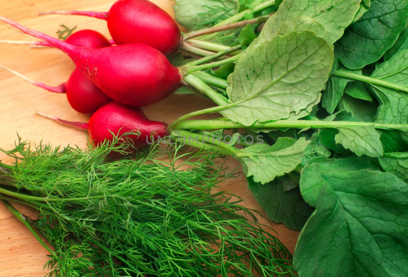 Vegetables for salad: bright red radish with green leaves and green twigs of dill. Lying on the kitchen blackboard.