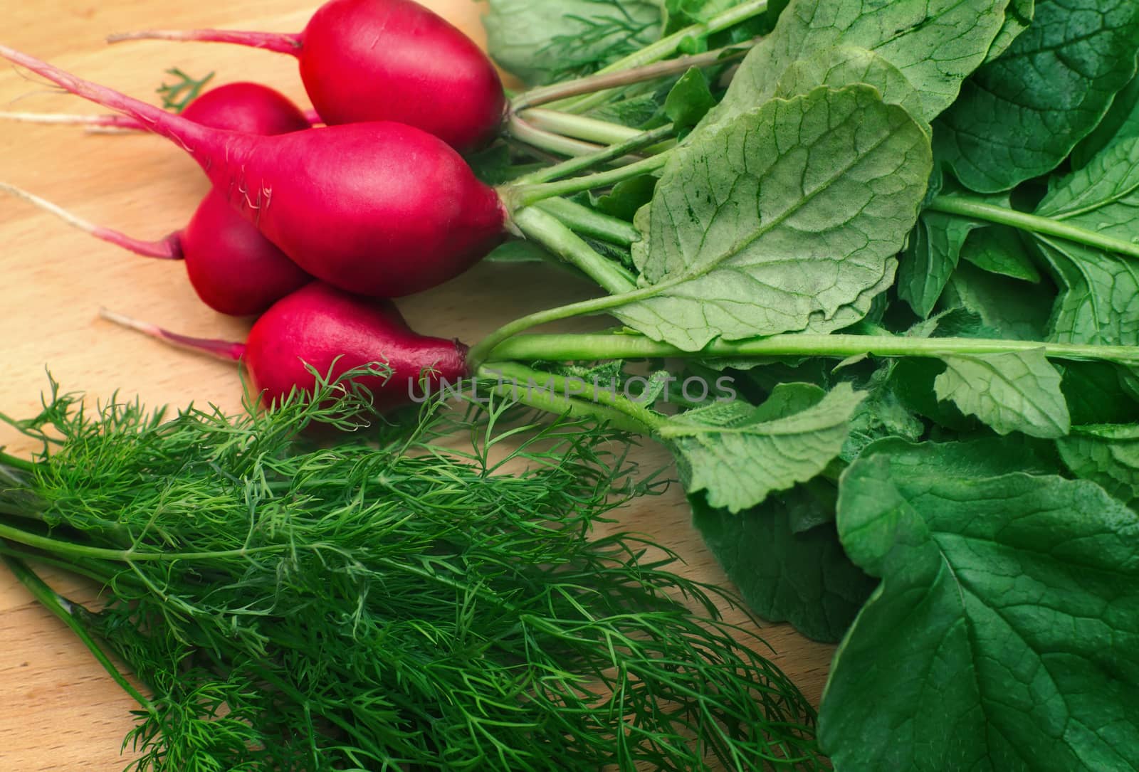 Radishes and green dill on a cutting Board by georgina198