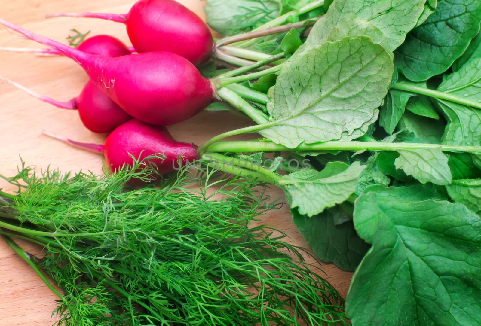 Vegetables for salad: bright red radish with green leaves and green twigs of dill. Lying on the kitchen blackboard.