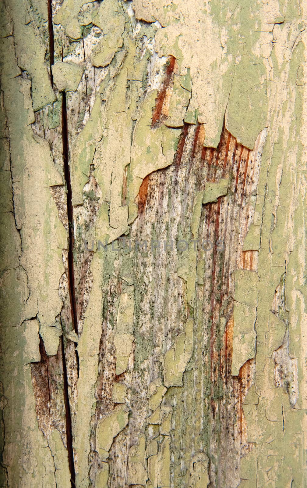 Weathered old painted wood by mrakor