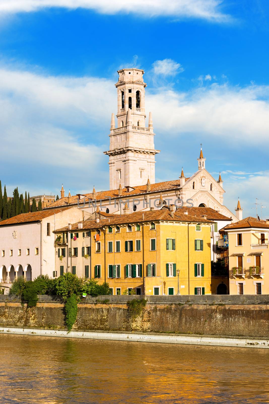 Detail of the Verona Cathedral in Romanesque style (1187 - UNESCO world heritage site) - Santa Maria Matricolare - Verona, Veneto Italy