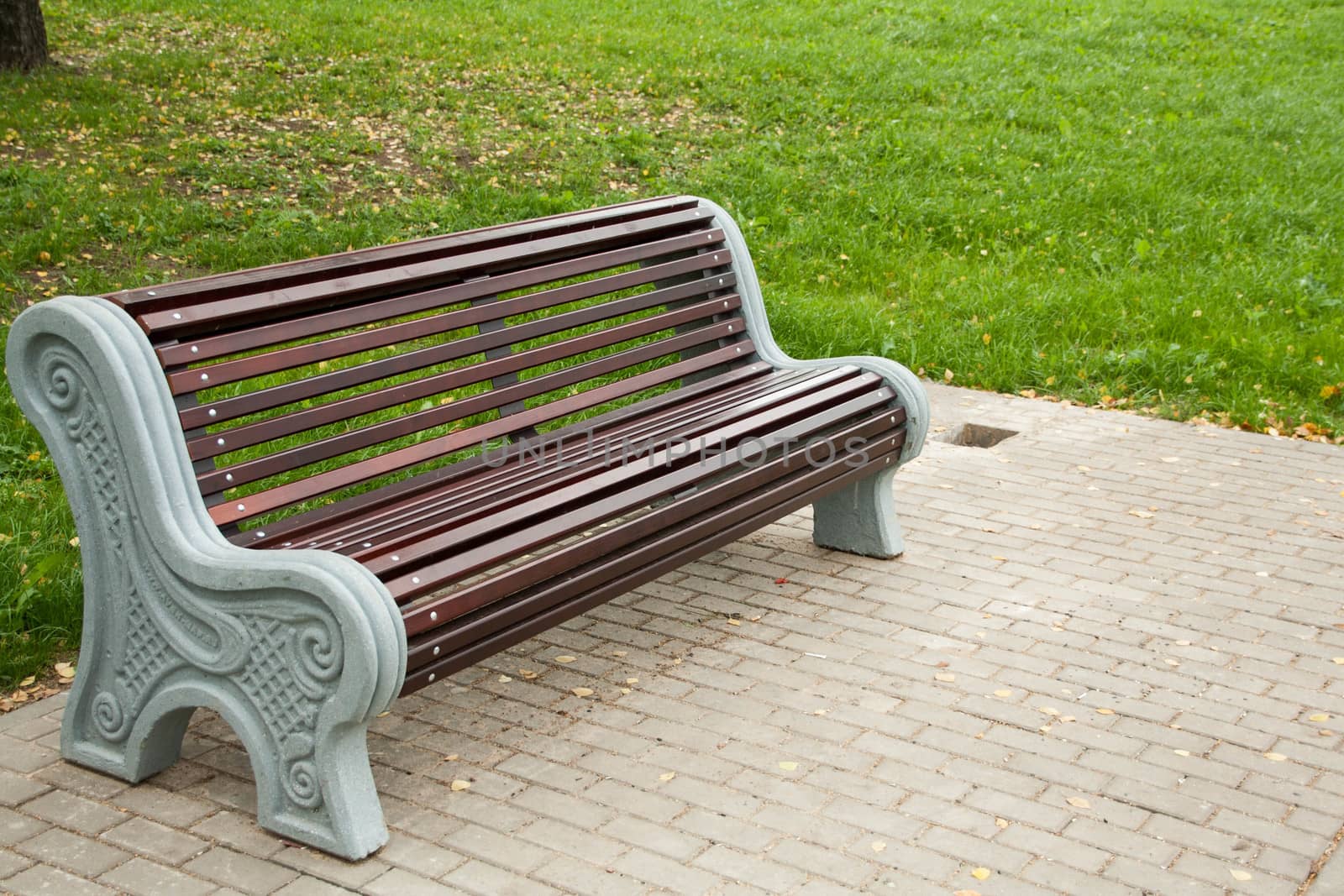 Empty wooden bench in the city park