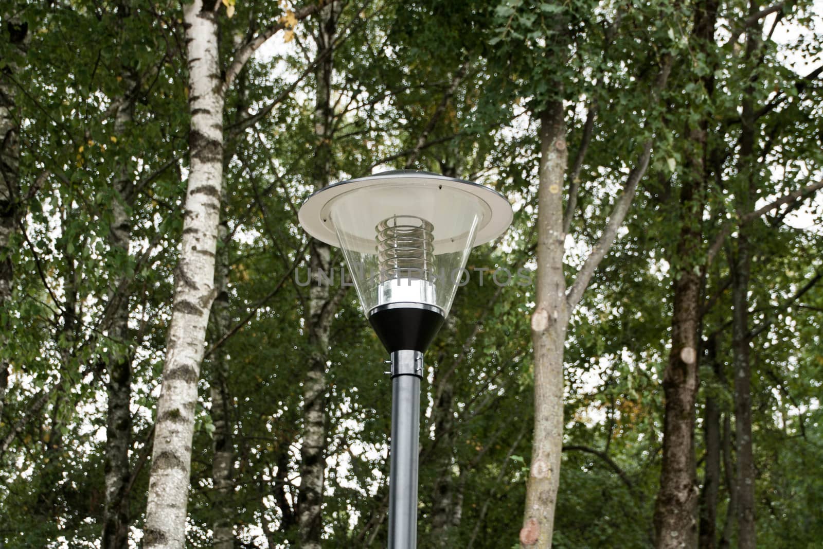 the lantern in the Park on a background of trees closeup
