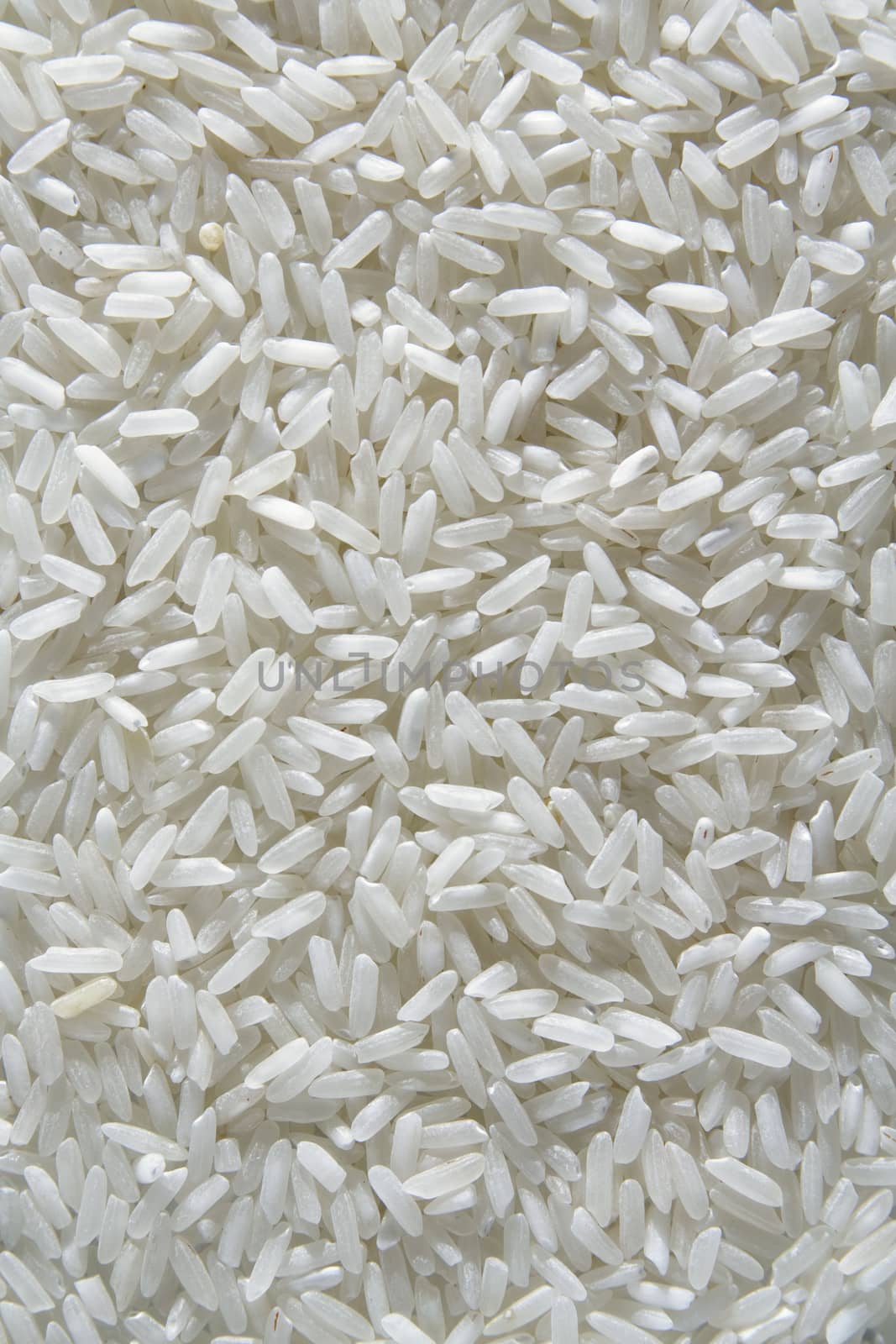 close-up on white rice surface by mrakor