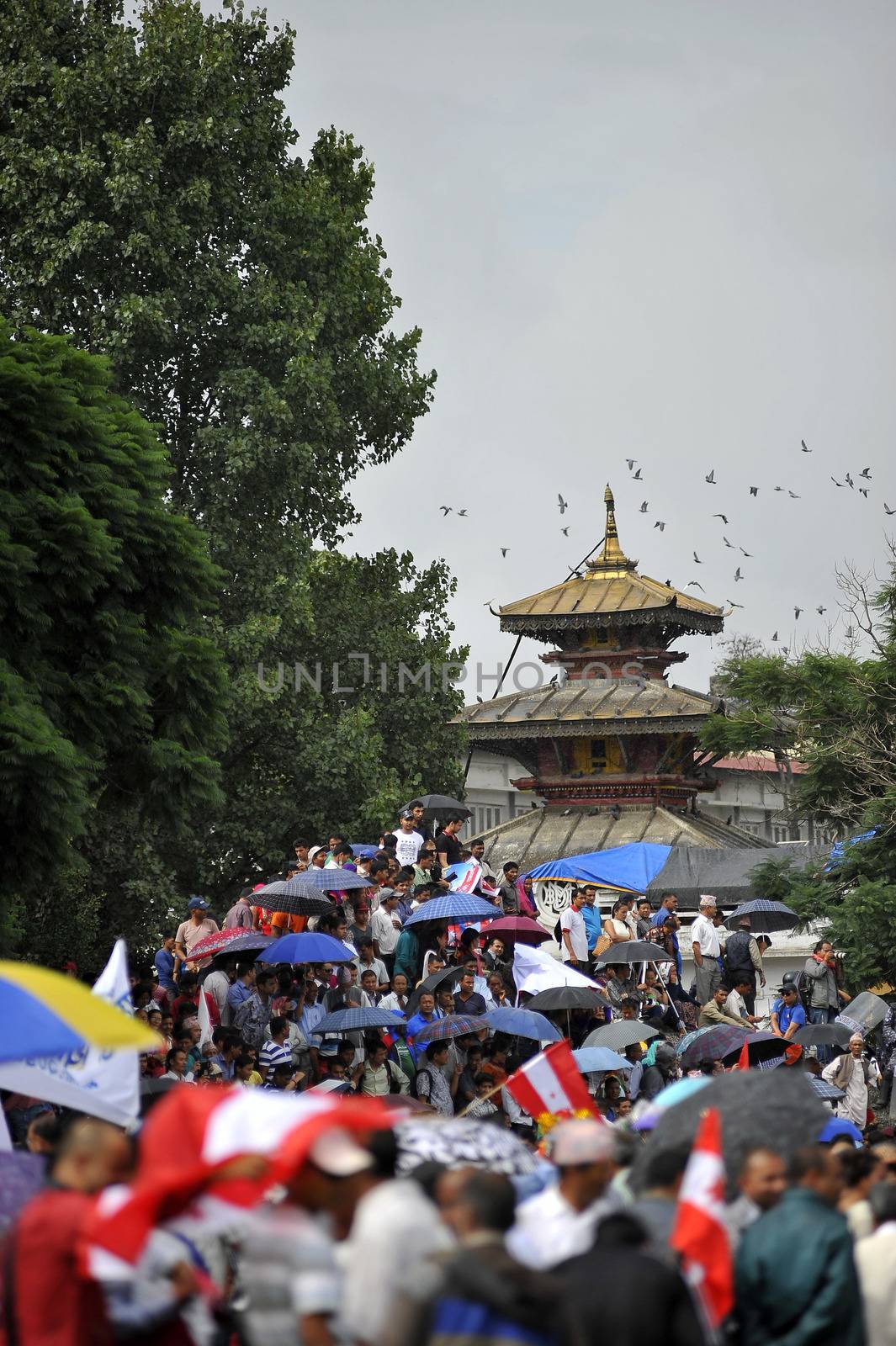 NEPAL, Kathmandu: Celebrations continued in Kathmandu, Nepal on September 21, 2015, one day after the government unveiled the country's first democratic constitution in a historic step. Out of the 598 members of the Constituent Assembly, 507 voted for the new constitution, 25 voted against, and 66 abstained in a vote on September 16, 2015. The event was marked with fireworks and festivities, but also with protests organized by parties of the Tharu and Madhesi ethnic communities.Photos taken by Newzulu contributor Narayan Maharjan show the Nepalese people donning traditional garb and celebrating with folk music and dancing.