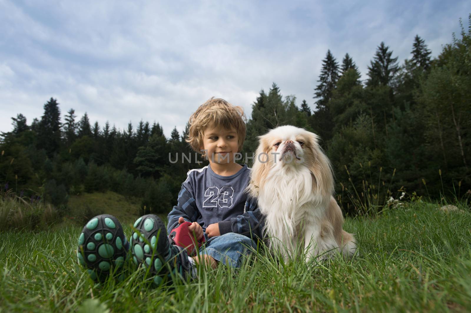 Cute little boy sitting with his dog in the meadow.